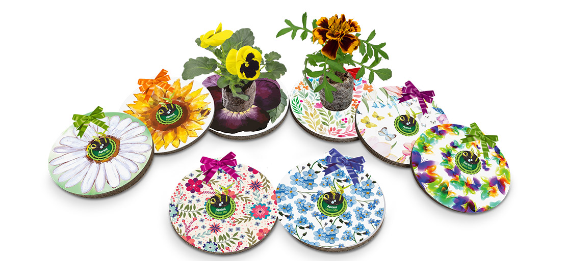 Decorazioni e chiudipacco da cui nascono piante di calendula, girasole, margherita, nontiscordardime, viola del pensiero.